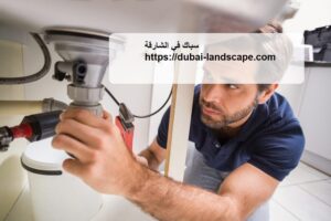 [صورة: %D8%B3%D8%A8%D8%A7%D9%83-%D9%81%D9%8A-%D...00x200.jpg]