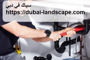 [صورة: %D8%B3%D8%A8%D8%A7%D9%83-%D9%81%D9%8A-%D...00x200.jpg]