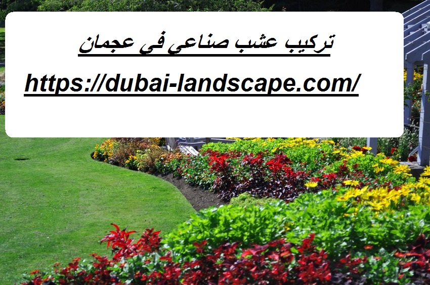 تركيب عشب صناعي في عجمان