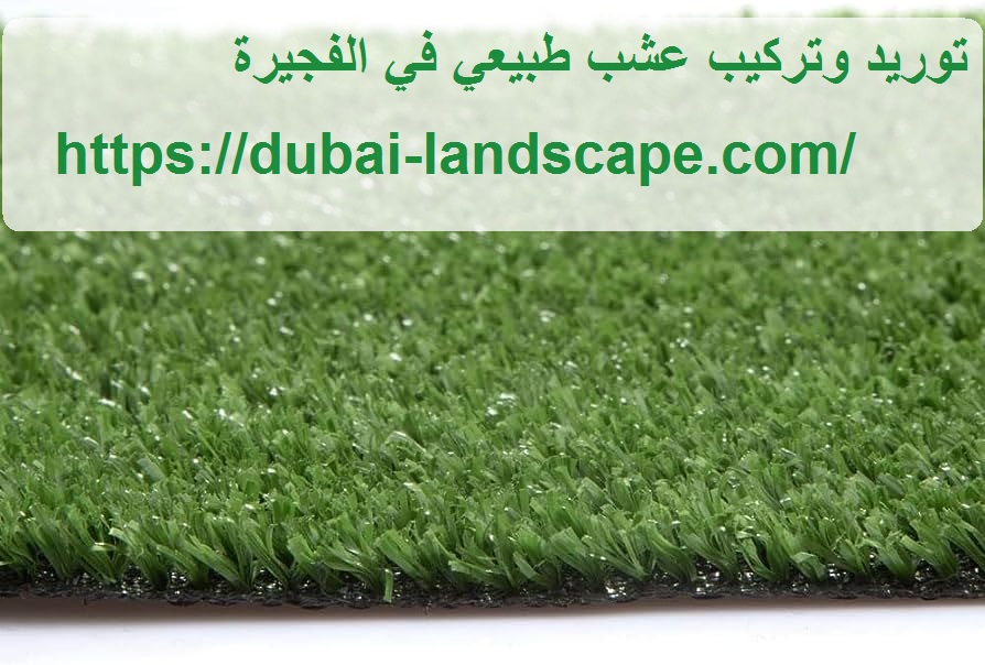 توريد وتركيب عشب طبيعي في الفجيرة
