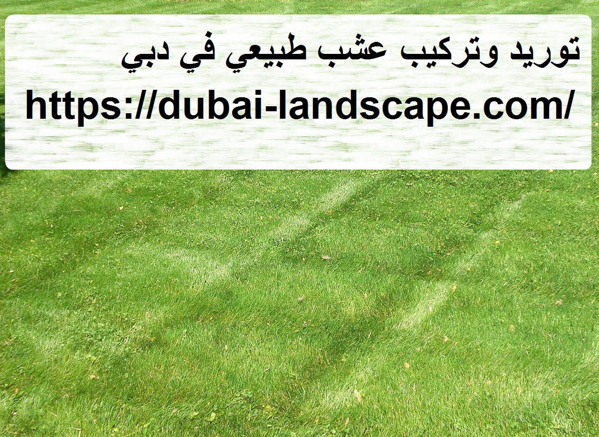 توريد وتركيب عشب طبيعي في دبي
