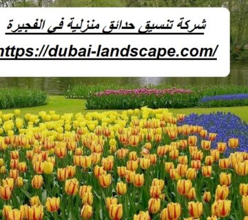 شركة تنسيق حدائق منزلية في الفجيرة