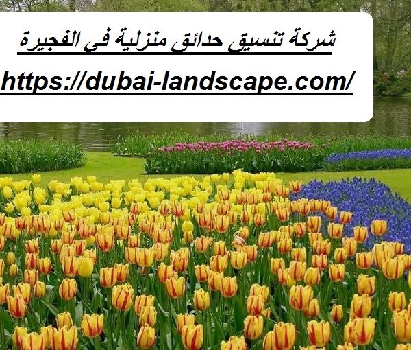 شركة تنسيق حدائق منزلية في الفجيرة