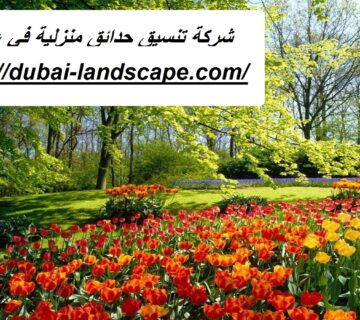 شركة تنسيق حدائق منزلية في عجمان