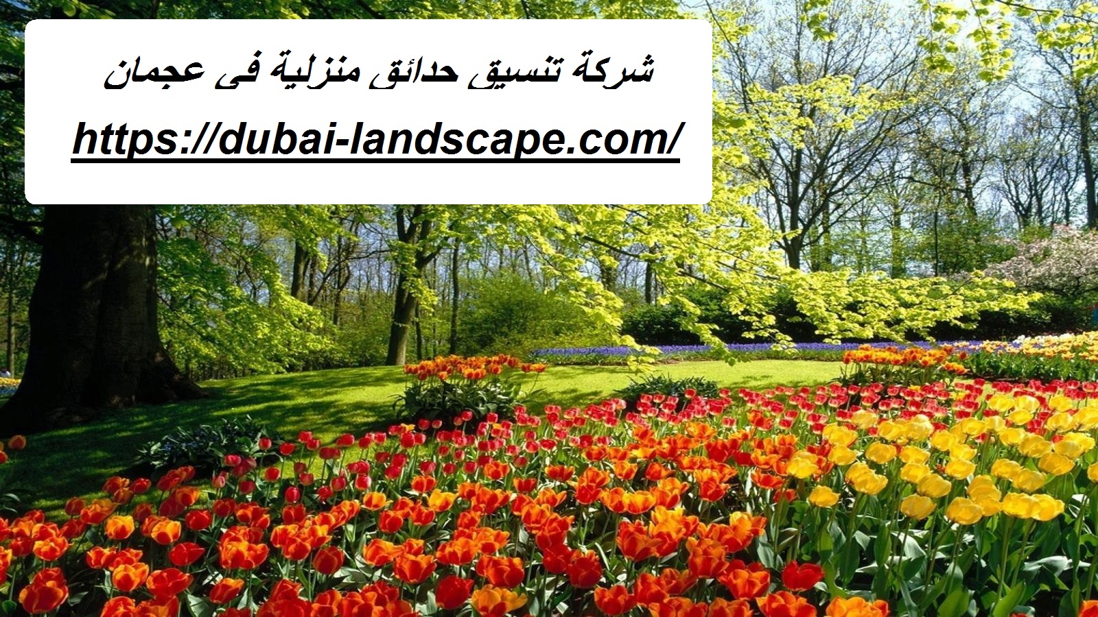 شركة تنسيق حدائق منزلية في عجمان