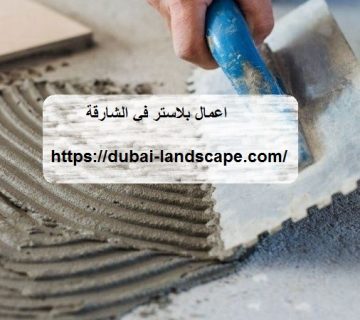 اعمال بلاستر في الشارقة