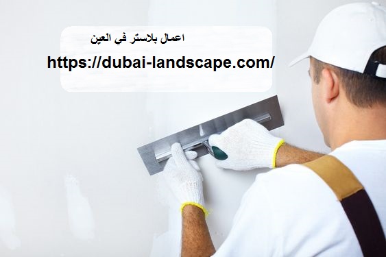 اعمال-بلاستر-في-العين
