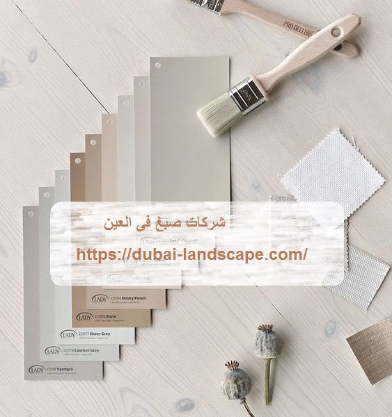 شركات صبغ فى العين