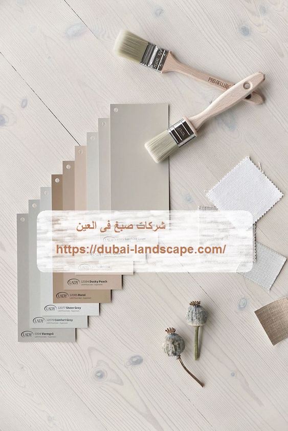 شركات صبغ فى العين