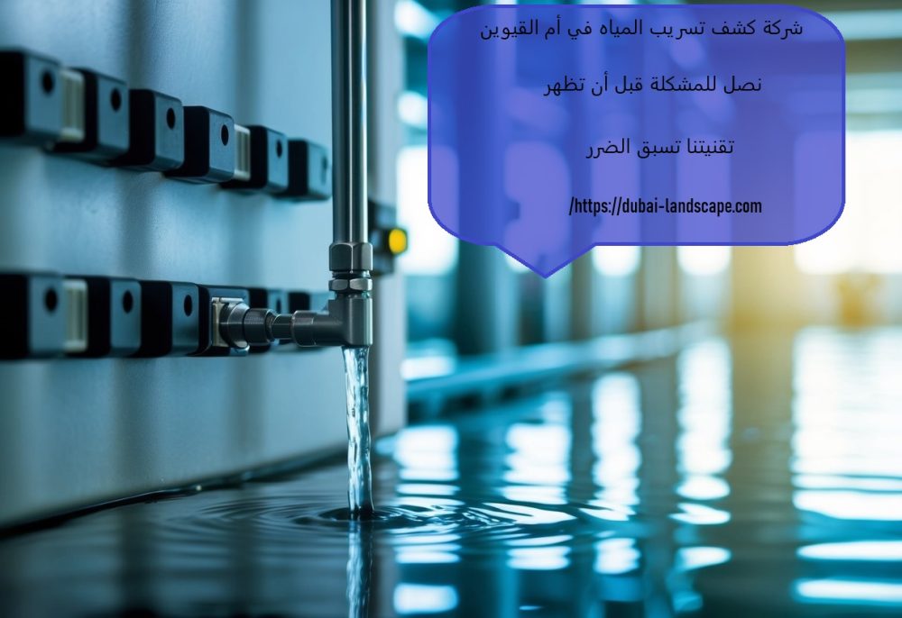 شركة كشف تسريب المياه في أم القيوين