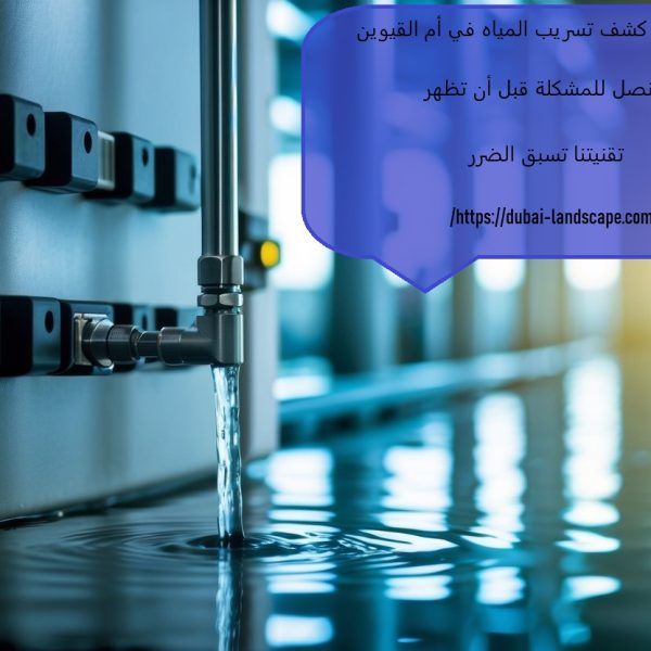 شركة كشف تسريب المياه في أم القيوين