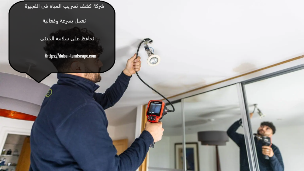 شركة كشف تسريب المياه في الفجيرة