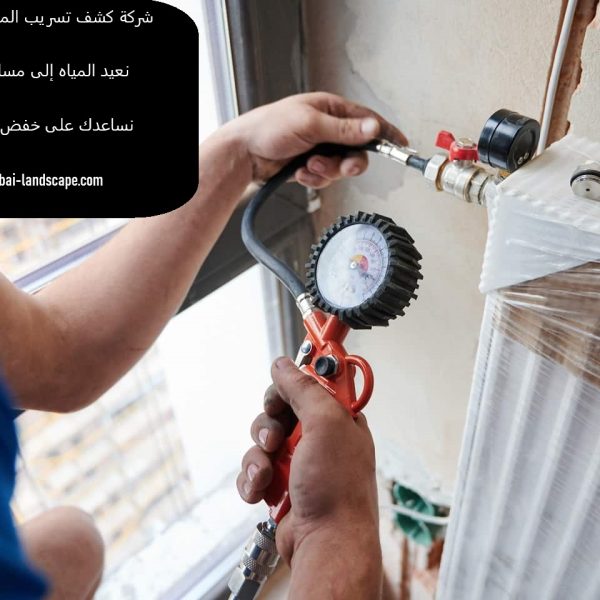 شركة كشف تسريب المياه في رأس الخيمة