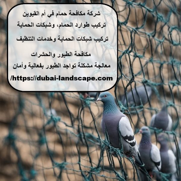 شركة مكافحة حمام في أم القيوين