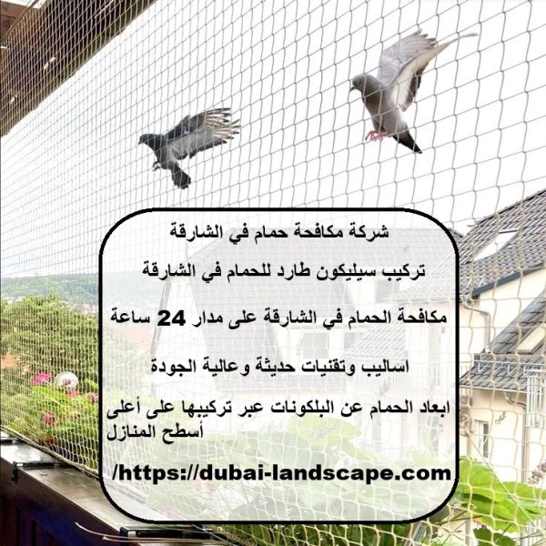 شركة مكافحة حمام في الشارقة