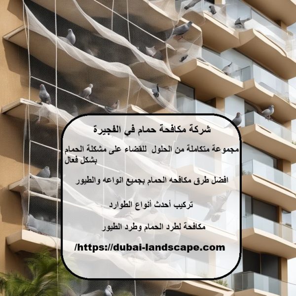 شركة مكافحة حمام في الفجيرة