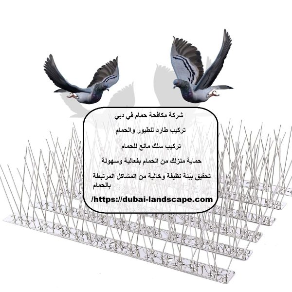 شركة مكافحة حمام في دبي