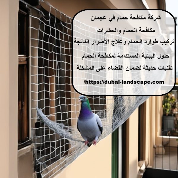 شركة مكافحة حمام في عجمان