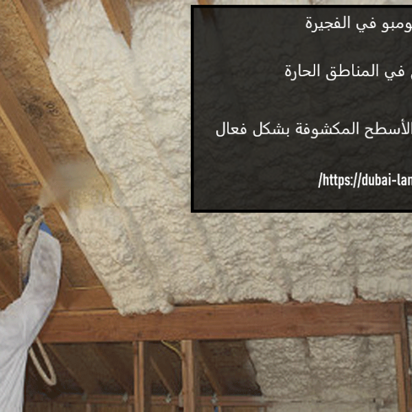 عزل الأسطح كومبو في الفجيرة